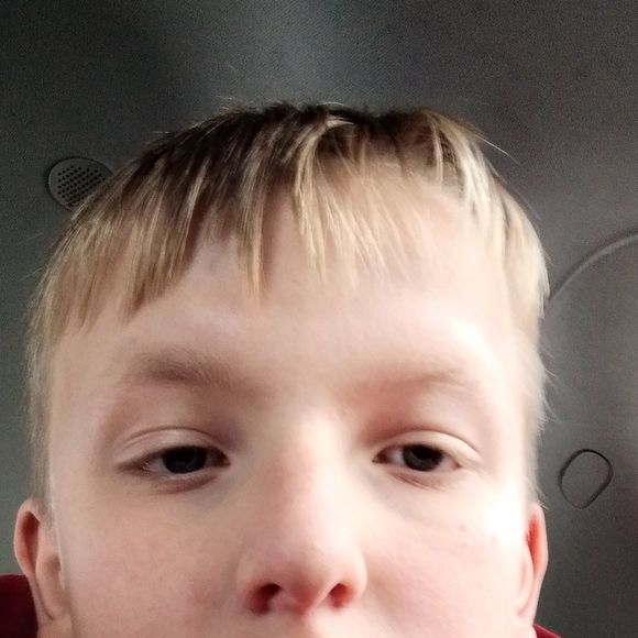 Meet your Posher, Ethan - Picture 1 of 1